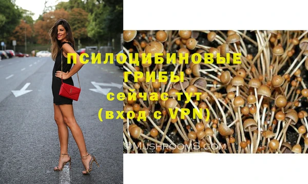 винт Нея