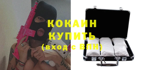 винт Нея