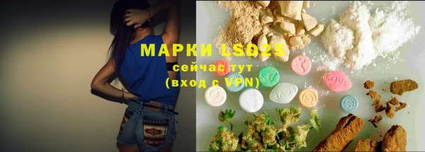винт Нея