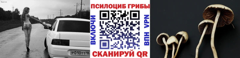 блэк спрут зеркало  Топки  Псилоцибиновые грибы GOLDEN TEACHER 