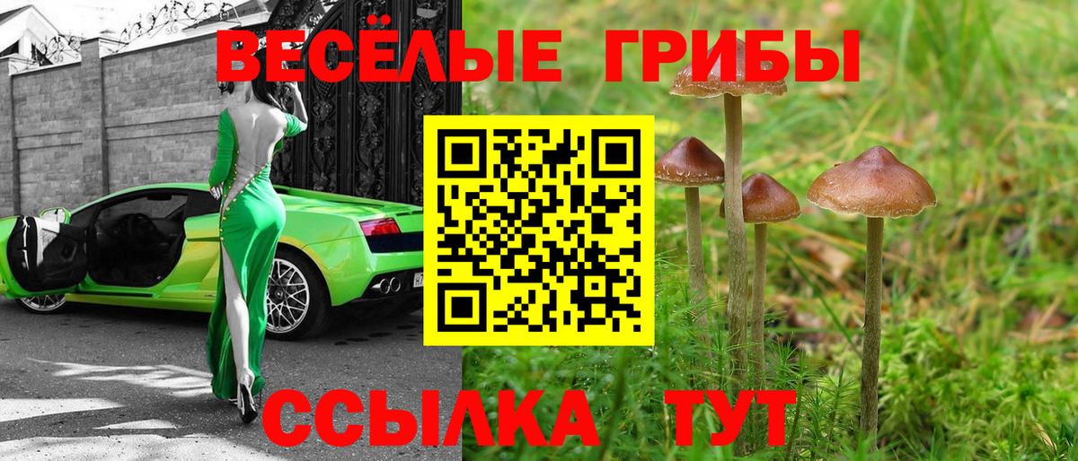 Псилоцибиновые грибы Psilocybe  где купить наркоту  Топки  Вход с VPN 